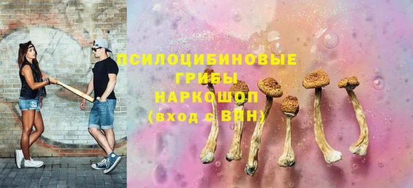 spice Болотное