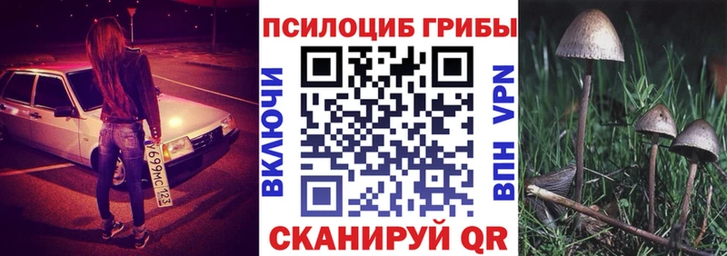 Галлюциногенные грибы Psilocybine cubensis Кинешма