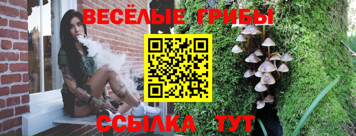 Галлюциногенные грибы Magic Shrooms Кинешма