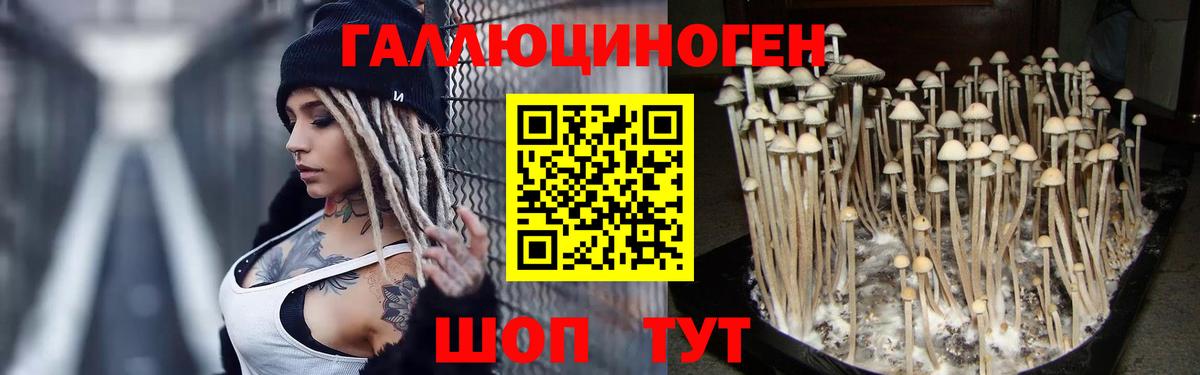 Галлюциногенные грибы MAGIC MUSHROOMS Кинешма