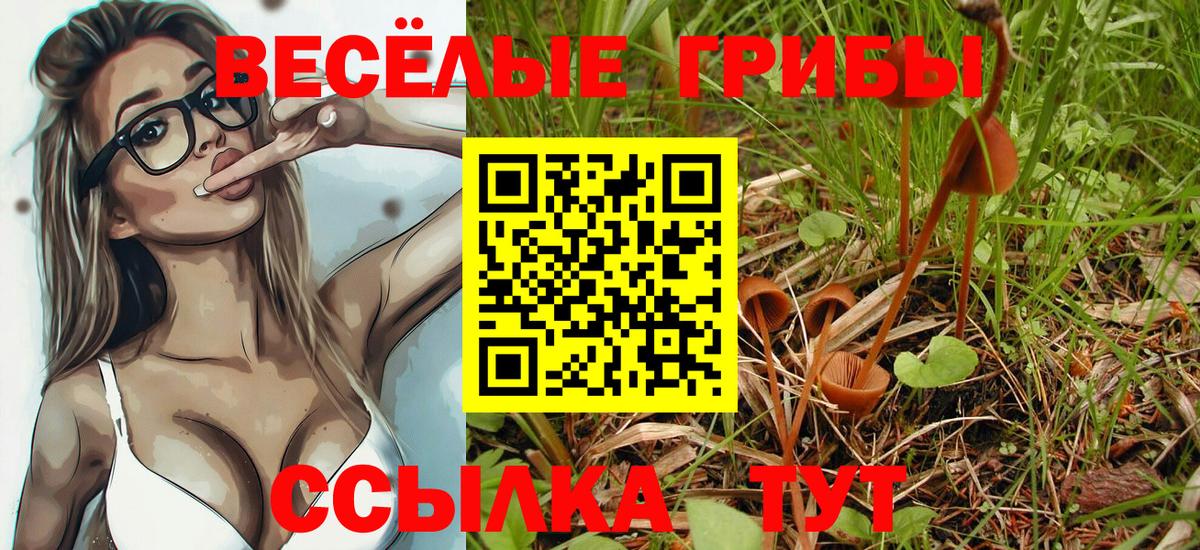 Кинешма  Галлюциногенные грибы Psilocybe  Вход с VPN 